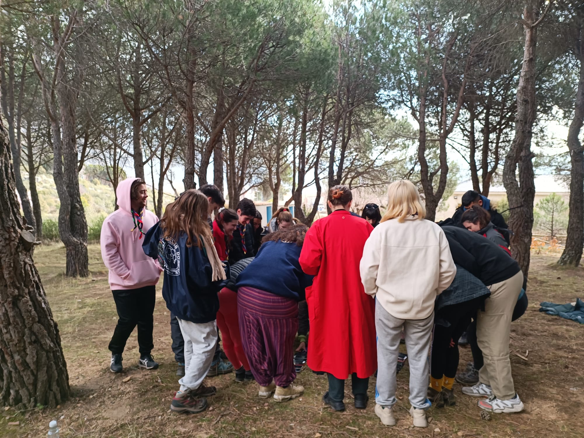 Grupo de jóvenes reunidos en círculo en un pinar durante una actividad al aire libre